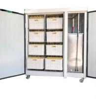 Проращиватель семян, бобов, злаков BSC-100A Foodatlas